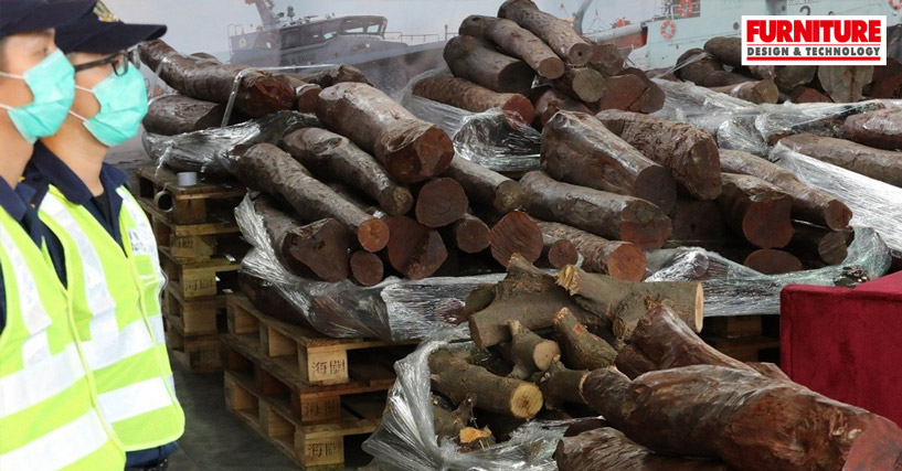 Two Containers of Red Sandalwood Shipped From India for Luxury Furniture Seized
